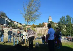 Il sindaco, Luca Gosso, con il giardiniere comunale Pietro Bortignon,aiuta i bambini a piantare il salice